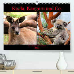 Kalender Koala, Känguru und Co.  Das wilde Tierreich Australiens (Premium, hochwertiger DIN A2 Wandkalender 2023, Kunstdruck in Hochglanz) von Raphaela Tesch