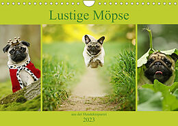 Kalender Lustige Möpse aus der Hundeknipserei (Wandkalender 2023 DIN A4 quer) von Kathrin Köntopp