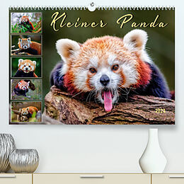 Kalender Kleiner Panda (Premium, hochwertiger DIN A2 Wandkalender 2023, Kunstdruck in Hochglanz) von Peter Roder