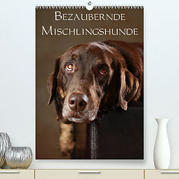 Kalender Bezaubernde Mischlingshunde (Premium, hochwertiger DIN A2 Wandkalender 2023, Kunstdruck in Hochglanz) von Jana Behr