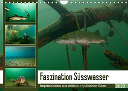 Kalender Faszination Süsswasser (Wandkalender 2023 DIN A4 quer) von Sven Gruse