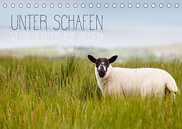 Kalender Unter Schafen - Wegbegleiter auf Reisen (Tischkalender 2023 DIN A5 quer) von Lain Jackson