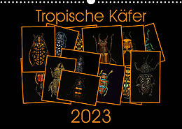 Kalender Tropische Käfer (Wandkalender 2023 DIN A3 quer) von Burkhard Körner