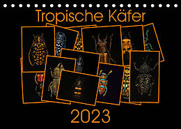 Kalender Tropische Käfer (Tischkalender 2023 DIN A5 quer) von Burkhard Körner