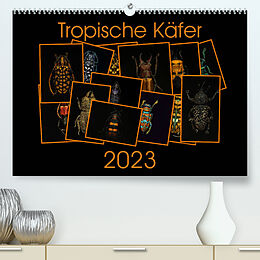 Kalender Tropische Käfer (Premium, hochwertiger DIN A2 Wandkalender 2023, Kunstdruck in Hochglanz) von Burkhard Körner