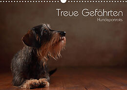 Kalender Treue Gefährten - Hundeportraits (Wandkalender 2023 DIN A3 quer) von Jana Behr