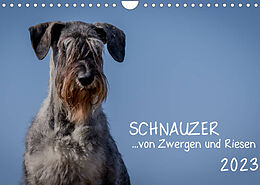 Kalender Schnauzer... von Zwergen und Riesen 2023 (Wandkalender 2023 DIN A4 quer) von Michael Janz