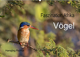 Kalender Faszination Afrika - Vögel (Wandkalender 2023 DIN A2 quer) von www.hjr-fotografie.de