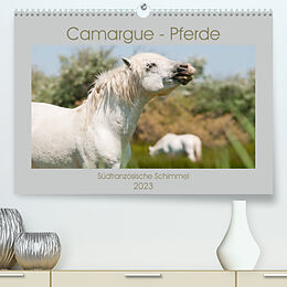 Kalender Camargue-Pferde - Südfranzösische Schimmel (Premium, hochwertiger DIN A2 Wandkalender 2023, Kunstdruck in Hochglanz) von Meike Bölts