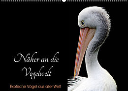 Kalender Näher an die Vogelwelt - Exotische Vögel aus aller Welt (Wandkalender 2023 DIN A2 quer) von Card-Photo // www.card-photo.com