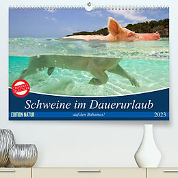 Kalender Schweine im Dauerurlaub auf den Bahamas! (Premium, hochwertiger DIN A2 Wandkalender 2023, Kunstdruck in Hochglanz) von Elisabeth Stanzer