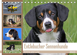 Kalender Entlebucher Sennenhunde Emma und Luna (Tischkalender 2023 DIN A5 quer) von SchnelleWelten