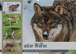 Kalender unter WölfenCH-Version (Wandkalender 2023 DIN A2 quer) von Norbert W. Saul