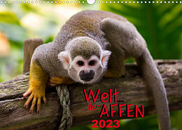 Kalender Welt der Affen (Wandkalender 2023 DIN A3 quer) von M. Reznicek Photography