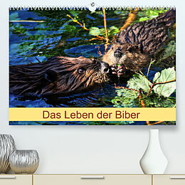 Kalender Das Leben der Biber (Premium, hochwertiger DIN A2 Wandkalender 2023, Kunstdruck in Hochglanz) von Kattobello
