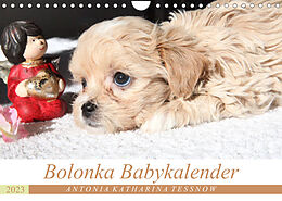 Kalender Bolonka Babykalender 2023 (Wandkalender 2023 DIN A4 quer) von Antonia Katharina Tessnow