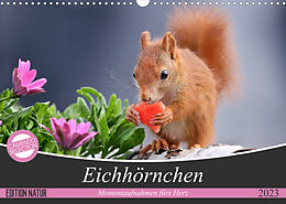 Kalender Eichhörnchen Momentaufnahmen fürs Herz (Wandkalender 2023 DIN A3 quer) von Tine Meier