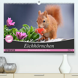 Kalender Eichhörnchen Momentaufnahmen fürs Herz (Premium, hochwertiger DIN A2 Wandkalender 2023, Kunstdruck in Hochglanz) von Tine Meier