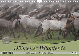 Kalender Dülmener Wildpferde - Wildpferde im Meerfelder Bruch (Wandkalender 2023 DIN A4 quer) von B. Mielewczyk