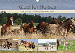 Kalender Quarter Horses - Die größte Zuchtbuchrasse der Welt (Wandkalender 2023 DIN A3 quer) von B. Mielewczyk