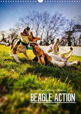 Kalender Beagle Action - Wilde Kuscheltiere (Wandkalender 2023 DIN A3 hoch) von Gregor Hartmann
