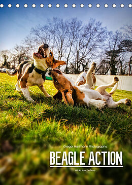 Kalender Beagle Action - Wilde Kuscheltiere (Tischkalender 2023 DIN A5 hoch) von Gregor Hartmann