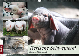 Kalender Tierische Schweinerei (Wandkalender 2023 DIN A3 quer) von Barbara Mielewczyk