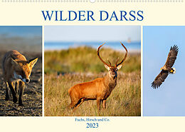 Kalender Wilder Darß - Fuchs, Hirsch und Co. 2023 (Wandkalender 2023 DIN A2 quer) von Daniela Beyer (Moqui)