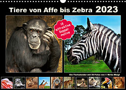 Kalender Tiere von Affe bis Zebra 2023 (Wandkalender 2023 DIN A3 quer) von © Mirko Weigt, Hamburg