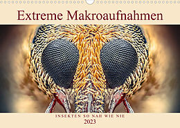 Kalender Extreme Makroaufnahmen - Insekten so nah wie nie (Wandkalender 2023 DIN A3 quer) von Ferdigrafie