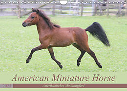 Kalender American Miniature Horse (Wandkalender 2023 DIN A4 quer) von Barbara Mielewczyk