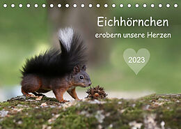 Kalender Eichhörnchen erobern unsere Herzen (Tischkalender 2023 DIN A5 quer) von Birgit Cerny