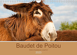 Kalender Baudet de Poitou - Seltene französische Langohren (Wandkalender 2023 DIN A4 quer) von Meike Bölts