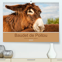Kalender Baudet de Poitou - Seltene französische Langohren (Premium, hochwertiger DIN A2 Wandkalender 2023, Kunstdruck in Hochglanz) von Meike Bölts