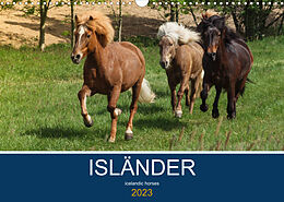 Kalender Isländer - icelandic horses (Wandkalender 2023 DIN A3 quer) von Alexandra Hollstein