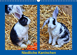 Kalender Niedliche Kaninchen (Wandkalender 2023 DIN A3 quer) von Kattobello