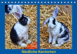 Kalender Niedliche Kaninchen (Tischkalender 2023 DIN A5 quer) von Kattobello