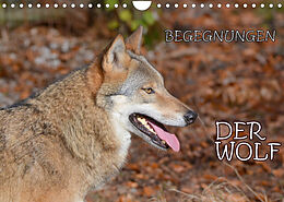 Kalender Begegnungen DER WOLF (Wandkalender 2023 DIN A4 quer) von GUGIGEI