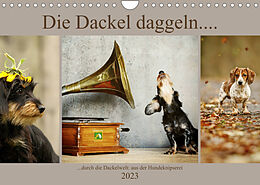 Kalender Die Dackel daggeln.... (Wandkalender 2023 DIN A4 quer) von Kathrin Köntopp
