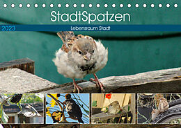 Kalender StadtSpatzen (Tischkalender 2023 DIN A5 quer) von Linda Schilling