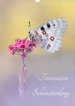 Kalender Faszination Schmetterlinge (Wandkalender 2023 DIN A3 hoch) von Marion Kraschl