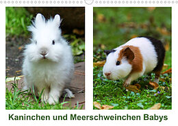 Kalender Kaninchen und Meerschweinchen Babys (Wandkalender 2023 DIN A3 quer) von Kattobello