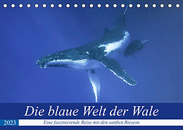 Kalender Die blaue Welt der Wale (Tischkalender 2023 DIN A5 quer) von Travelpixx.com