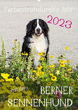 Kalender Farbenfroh durch's Jahr mit dem Berner Sennenhund (Wandkalender 2023 DIN A2 hoch) von Sonja Brenner