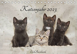 Kalender Katzenjahr 2023 (Tischkalender 2023 DIN A5 quer) von Erich Ruczkowski
