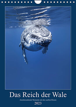Kalender Im Reich der Wale (Wandkalender 2023 DIN A4 hoch) von Travelpixx.com