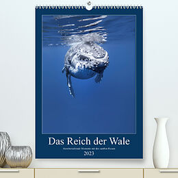 Kalender Im Reich der Wale (Premium, hochwertiger DIN A2 Wandkalender 2023, Kunstdruck in Hochglanz) von Travelpixx.com
