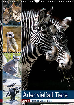 Kalender Artenvielfalt Tiere (Wandkalender 2023 DIN A3 hoch) von Karin Sigwarth