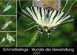 Kalender Schmetterlinge - Wunder der Verwandlung (Wandkalender 2023 DIN A2 quer) von Wilhelm Eisenreich