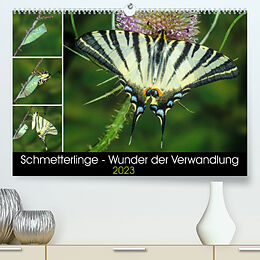 Kalender Schmetterlinge - Wunder der Verwandlung (Premium, hochwertiger DIN A2 Wandkalender 2023, Kunstdruck in Hochglanz) von Wilhelm Eisenreich